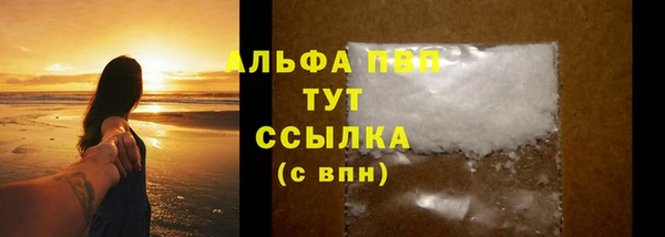 спиды Сясьстрой