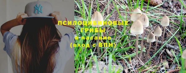 спиды Сясьстрой